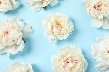 Beautiful peonies on color background, flat lay