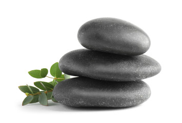 Stack of black spa stones with green branch isolated on white