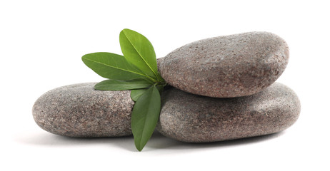 Fototapeta premium Spa stones with green branch isolated on white