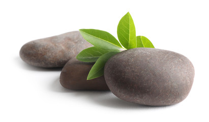 Spa stones with green branch isolated on white