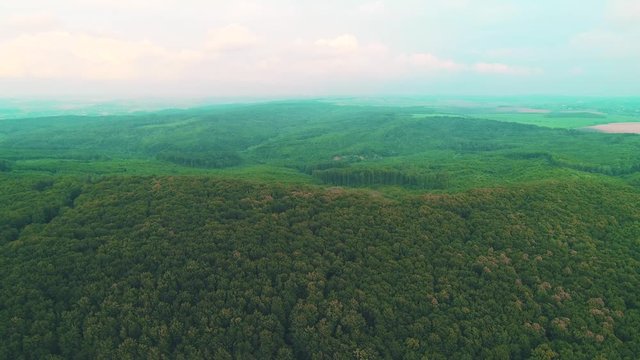 Aerial top view of summer green trees in forest and mountains background. 4K.