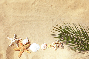 Fototapeta na wymiar Flat lay composition with palm leaf and seashells on sandy beach. Space for text