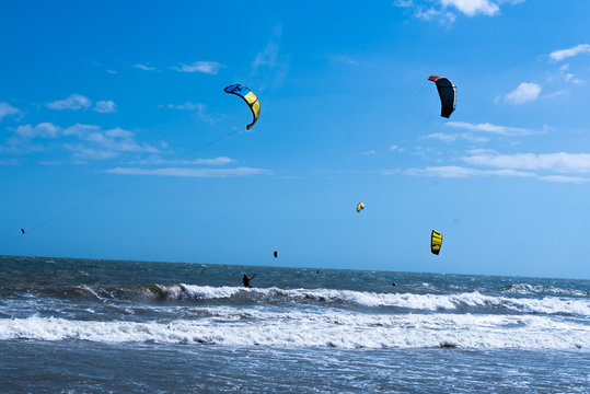 sealife sport