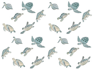 Fototapeta premium Seamless pattern with watercolor sea turtle on white background.Summer exotic print.
