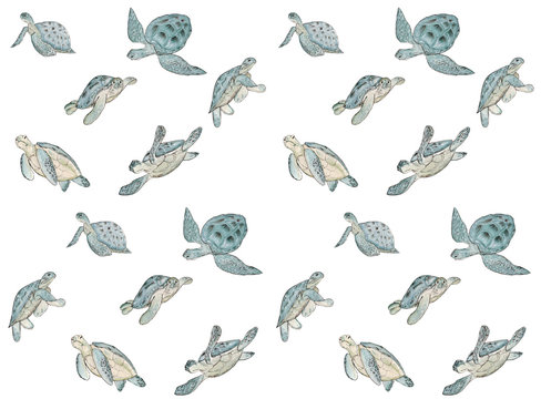 Seamless pattern with watercolor sea turtle on white background.Summer exotic print.
