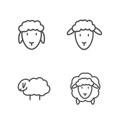 Obraz premium Set of sheep vector illustration with simple line design suitable for icon or logo 
