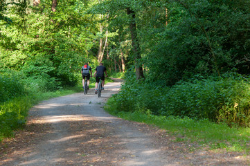 Naklejka premium Sport biker on forrest path