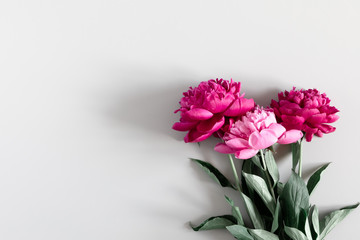 Minimal flowers composition. Pink peonies flowers on gray background. Flat lay, top view, copy space