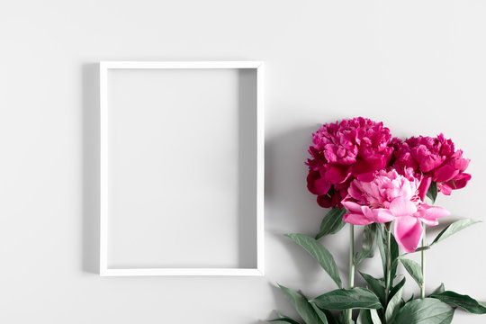 Beautiful flowers composition. Blank frame for text, red peonies flowers on gray background. Flat lay, top view, copy space