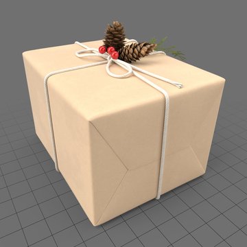 Christmas present