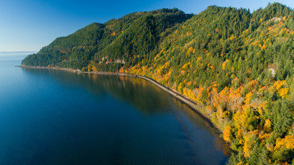 Naklejka premium Forest Hills Along Ocean Beach Waterfront Samish Bay Bow Washington USA October Autumn Colors