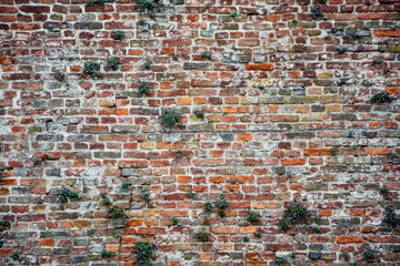 Old brick wall. empty grunge urban street. brick wall of colorful