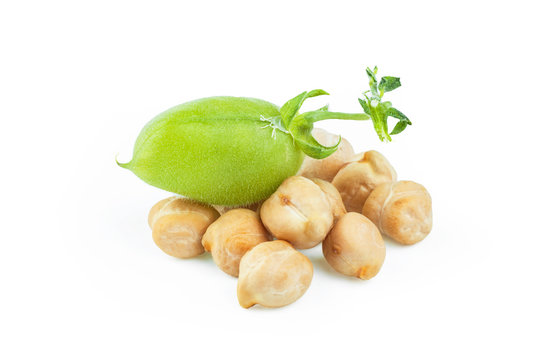 Uncooked dried chickpeas with raw green chickpea pod plant isolated on white background, legume chick pea