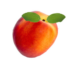 one fresh tasty peach on a white background, isolate