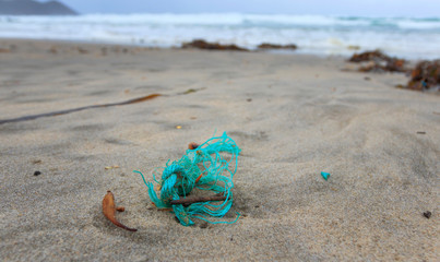 Fototapeta na wymiar Plastic on remote South Cape Bay beach in southern Tasmania