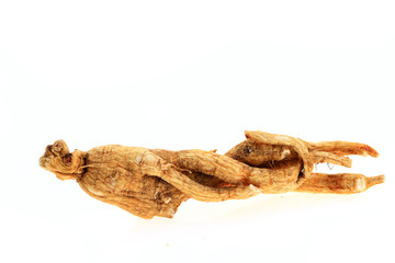 Ginseng on a white background
