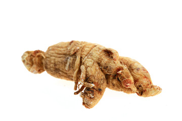 Ginseng on a white background