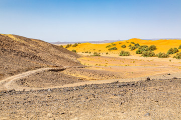 Sahara desert in Mergouza region east Morocco