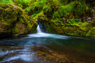 Beautiful Sunset Hike Up Sweet Creek Falls in Oregon