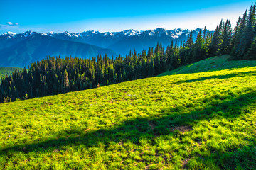 Beautiful Clear Skies Over the Mountain in Olympic National Park in Washington