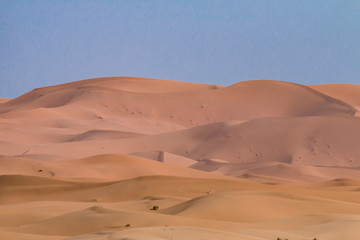 Fototapeta na wymiar The desert around Mergouza in Morocco 