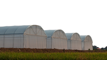 Fototapeta na wymiar White plastic dome on agricultural land.