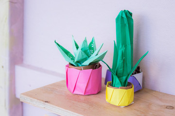 flowers in pots and tools on wooden background