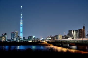 Obraz premium 東京夜景