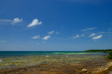 Shallow and clear waters of the Florida Keys