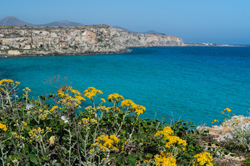 The coast of Favignana Island in south mediterranean