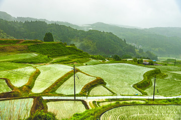 兵庫県・北但の集落、板仕野棚田百選の雨模様
