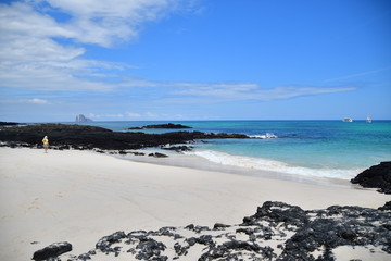 Fototapeta premium PLAYA, GLÁPAGOS