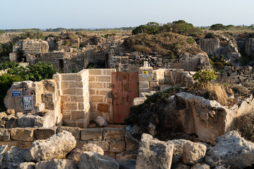 The island of Favignana