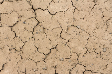 Yellow silt and gravel particles form a crack texture due to drought