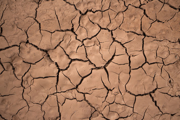 Global warming causes yellow soil to form turtle cracks