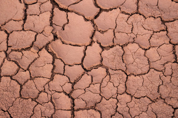 The red soil on the earth formed many cracks of the turtle due to drought.