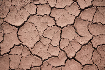 Global warming causes yellow soil to form turtle cracks