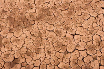 Global warming causes yellow soil to form turtle cracks