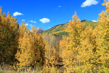 Fototapeta premium autumn in the mountains