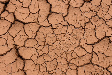 Global warming causes yellow soil to form turtle cracks