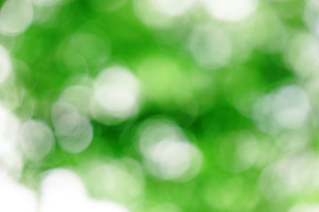 Background material of natural ball bokeh　自然の玉ボケの背景素材
