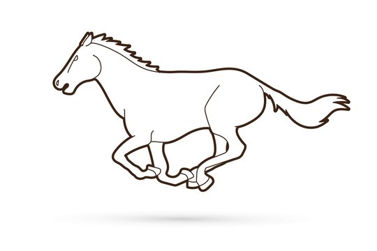 Horse running cartoon graphic vector