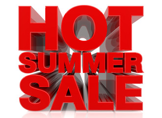 3D HOT SUMMER SALE word on white background 3d rendering
