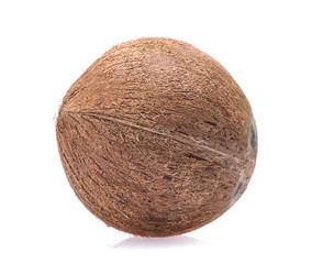 coconuts isolated on  white background