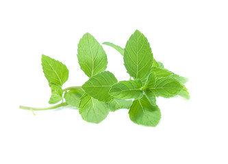 mint leaves isolated isolated on white