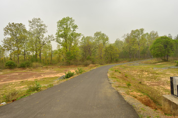 Fototapeta na wymiar Winding gravel road through temperate forest at Jhargram, west bengal, India