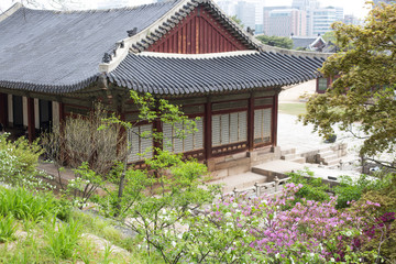 Fototapeta na wymiar Roof of Korean traditional house and green tree