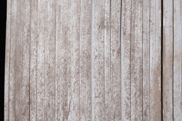 White bamboo plank fence texture for background