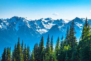 Clear Skies Over Mountains in Olympic National Park in Washington