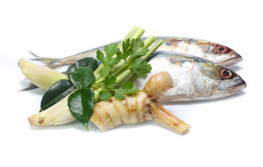Fresh mackerel isolated on white background